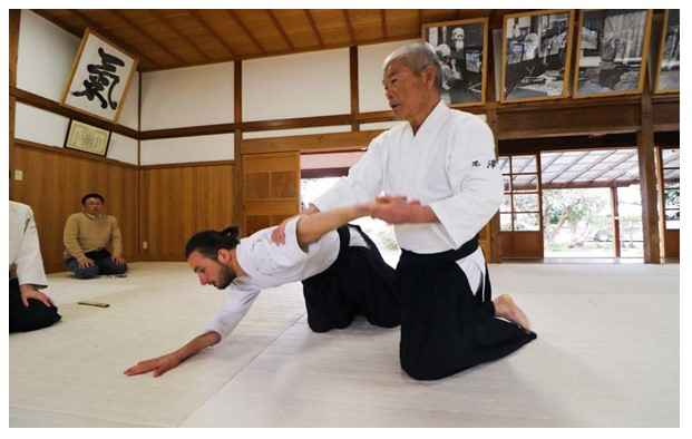 Aikido (Japan)