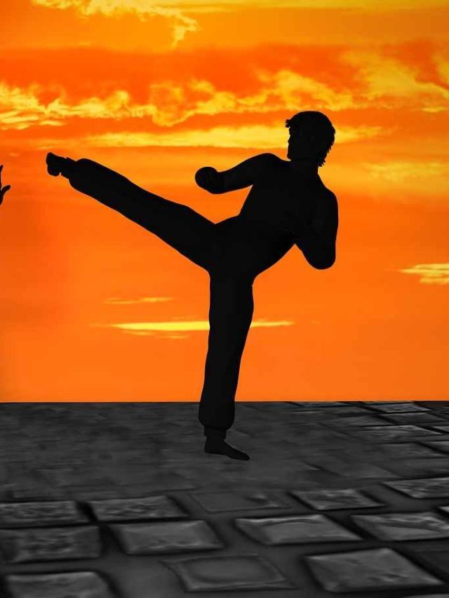 What are The Top 10 Martial Arts to Use for Self Defense?