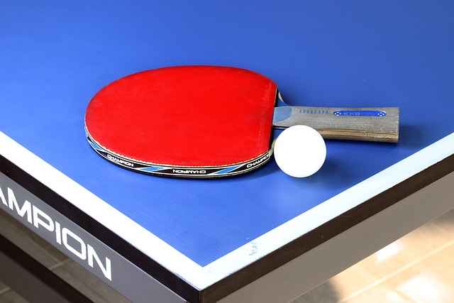 Winter Sports: Table Tennis