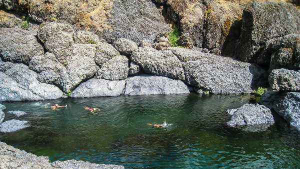 Jump in at Joyce's favourite. swimming hole